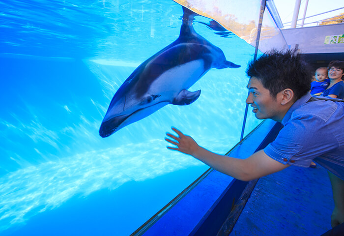 下田海中水族館